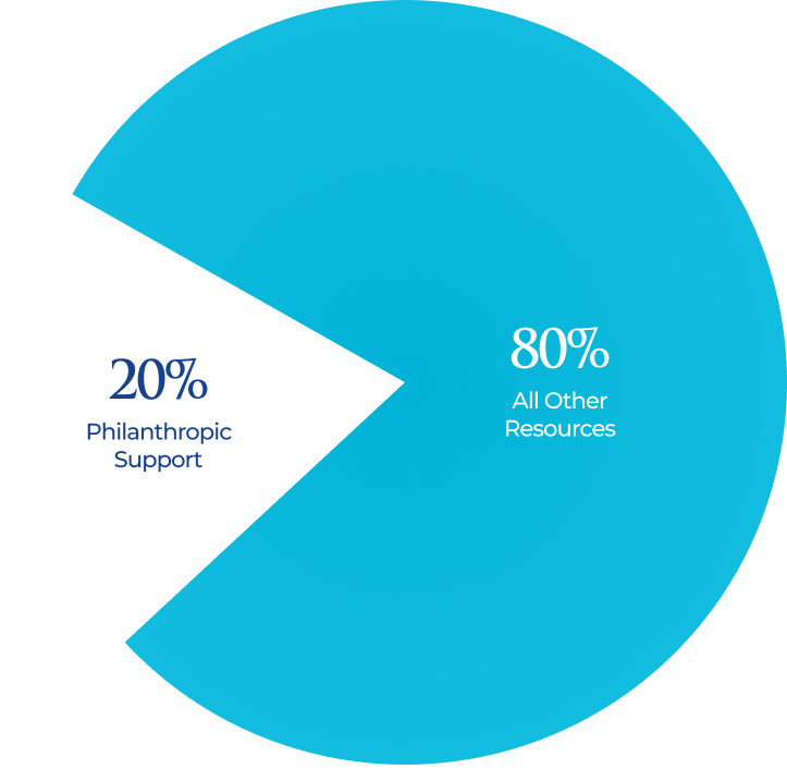 Pie Chart